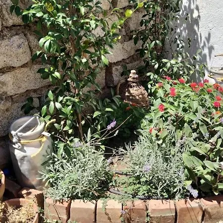 Casa de Férias Casa Indipendente Nel Cuore Della Costa Smeralda Comfort Per Famiglie E Gruppi Arzachena